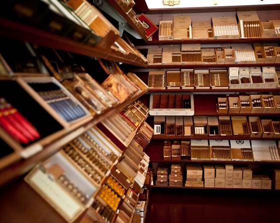 zara tobacco collection india Tobacco Collection Rich Warm Addictive Zara cologne
