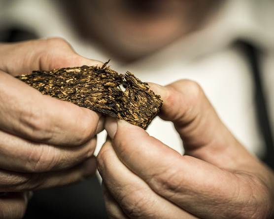 scandinavian tobacco investor relations STG Profits Fall as Major Cigar Market Softens Nicotine Insider Scandinavian Tobacco Group - Carnegie