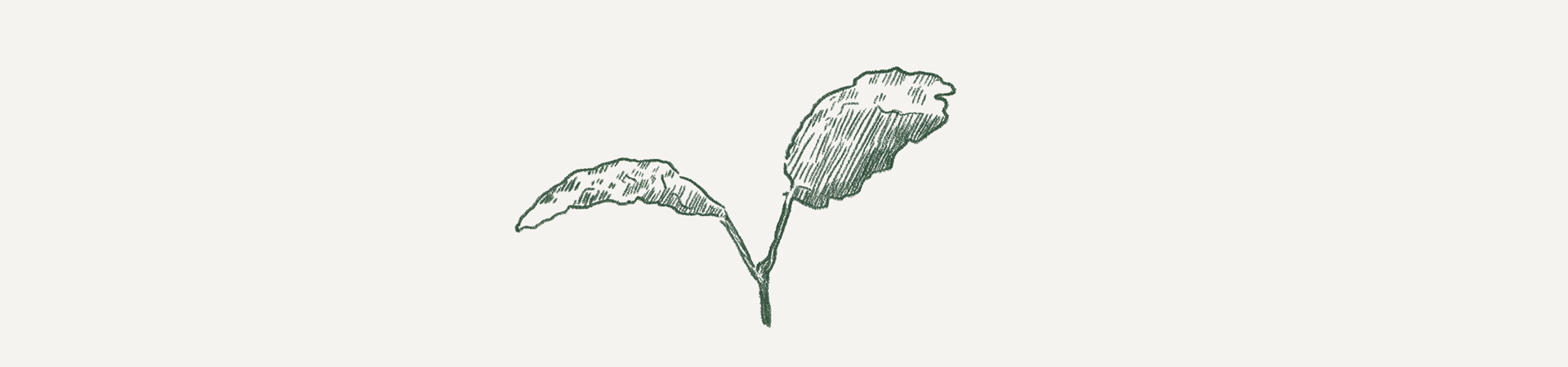 Forwebsite2