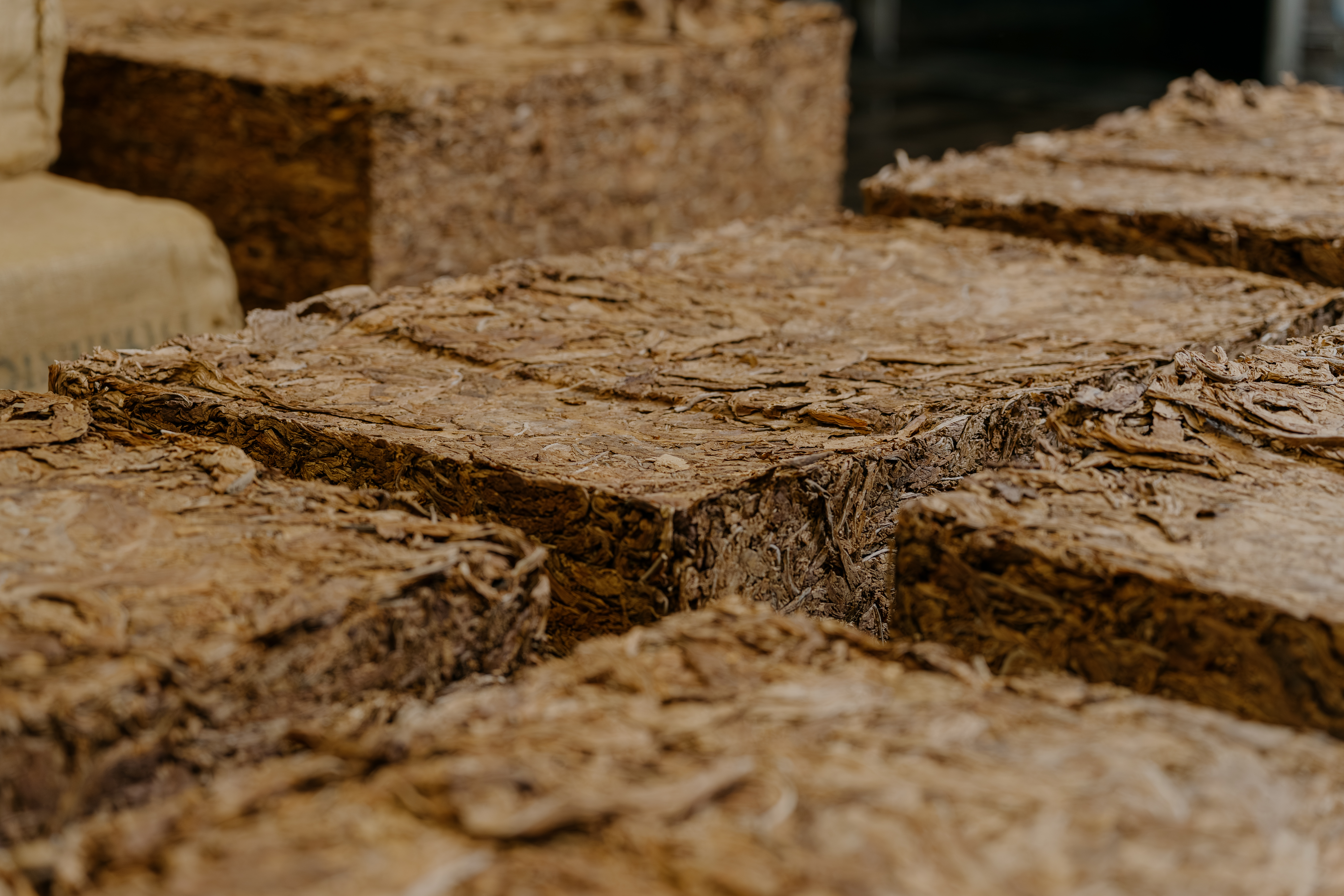 Lummen&Westerlo HQ (5 Of 45)