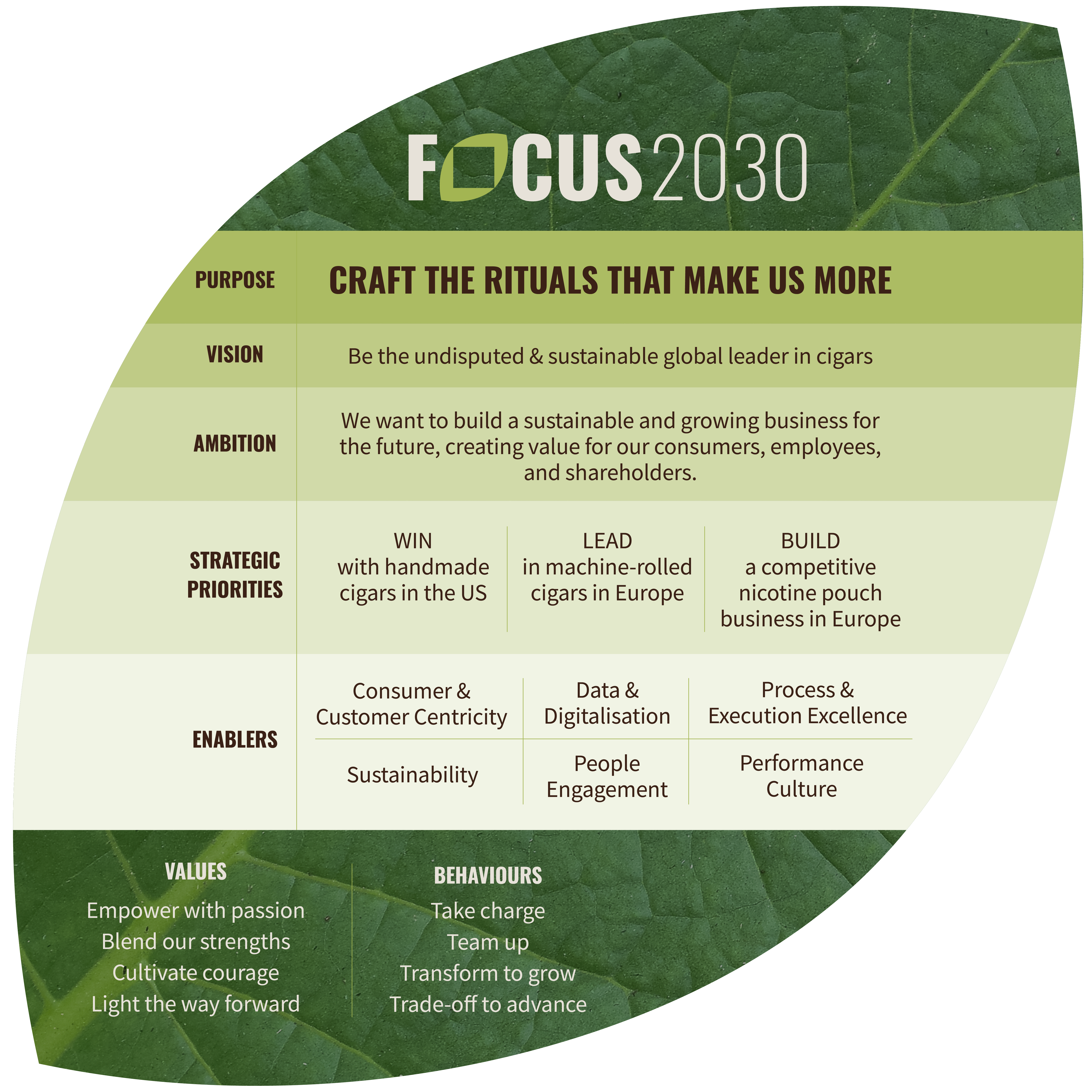 FOCUS2030 Strategymodel Screen