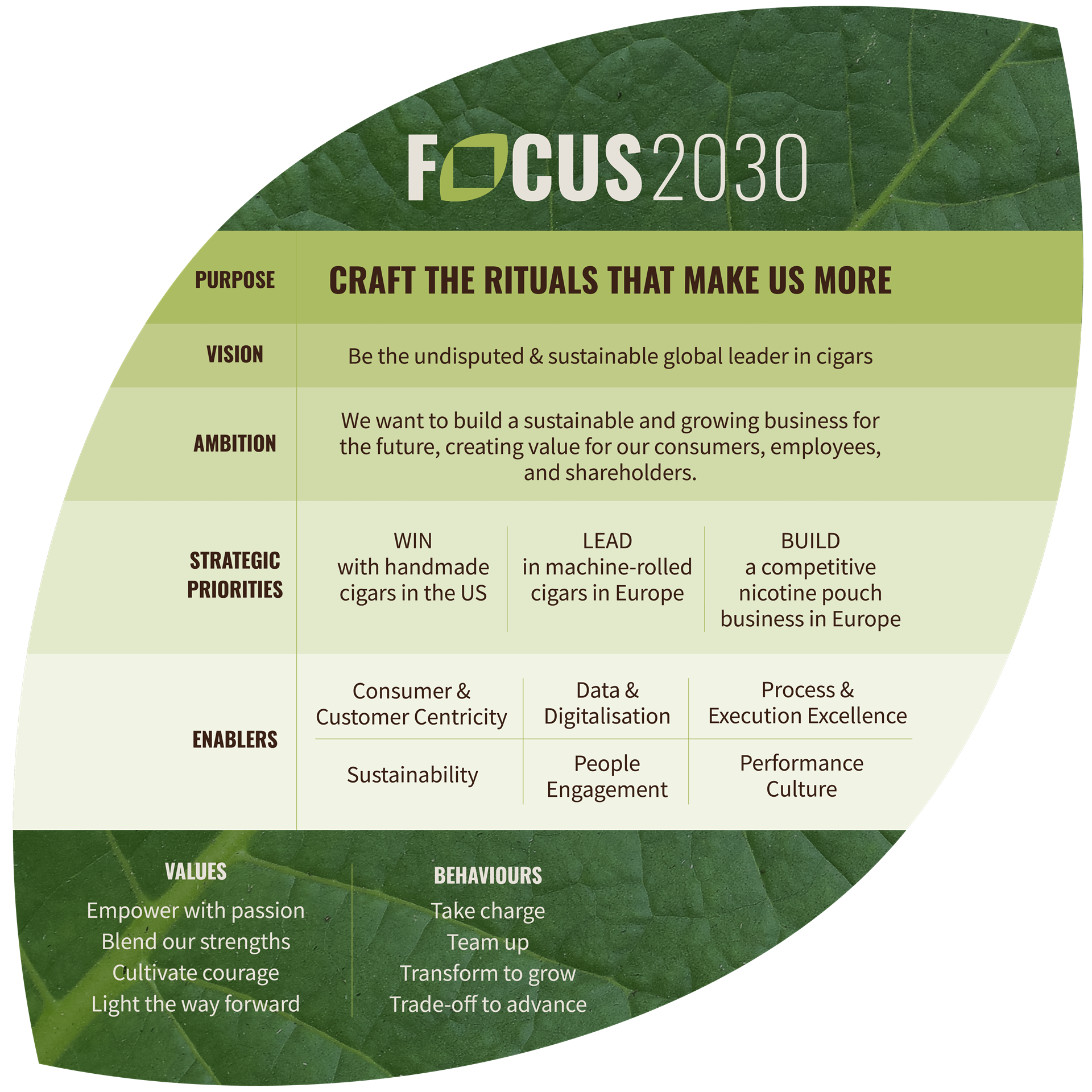 FOCUS2030 Strategymodel Screen
